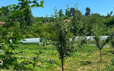 Proseguono le field visit del corso sulle politiche del cibo rivolto ai funzionari e amministratori dei distretti del cibo piemontesi